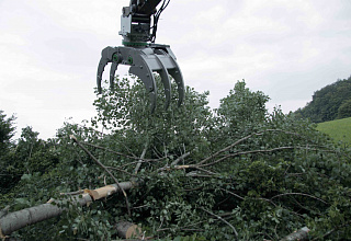 Alligator Grapple — фото 1