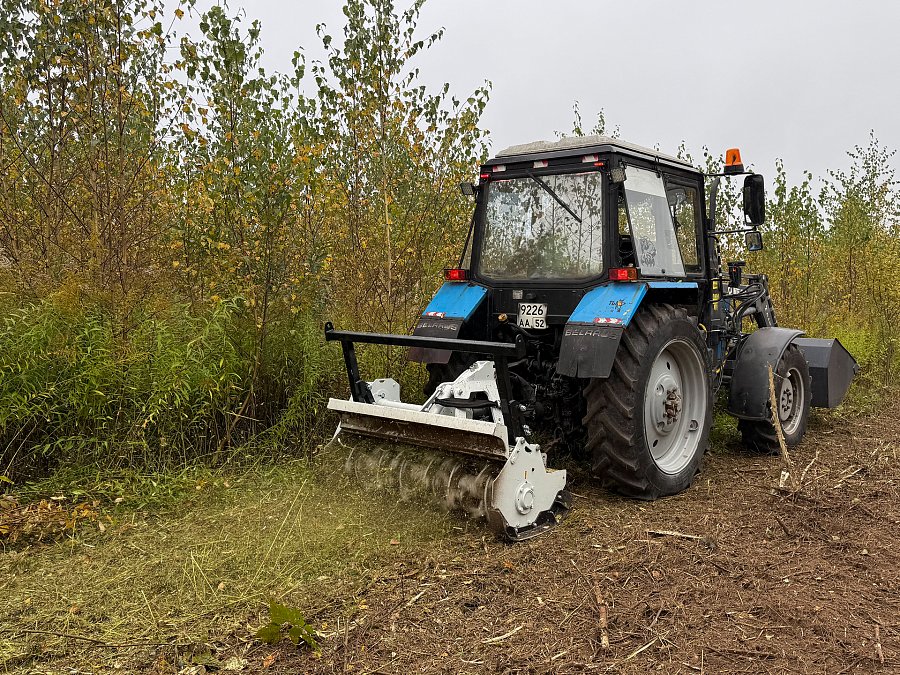 NIUBO TMD 160 с трактором Беларус — измельчение поросли